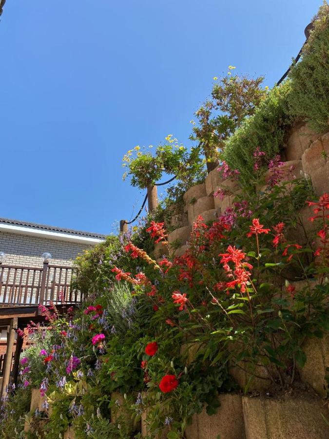 Villa Wilderness Oceanview Extérieur photo